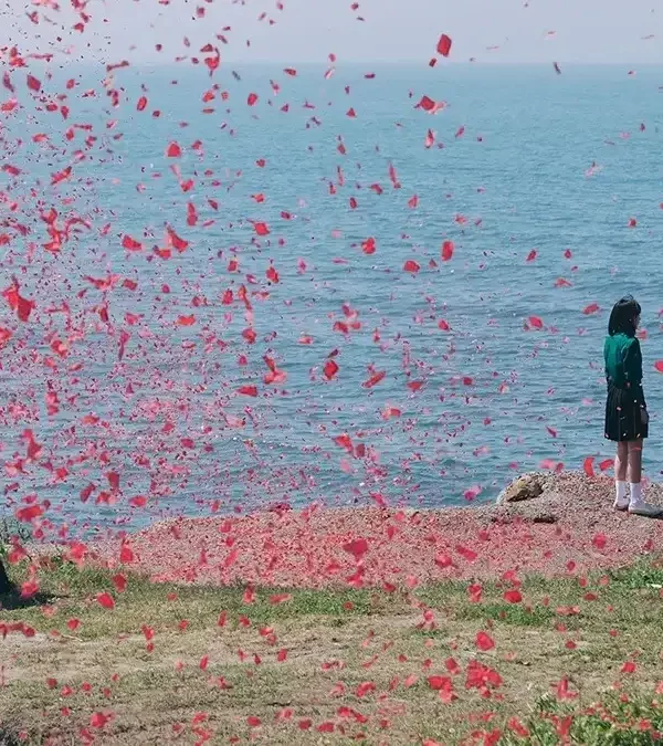 塑膠花劇評 A Perfect Blossom Reviews