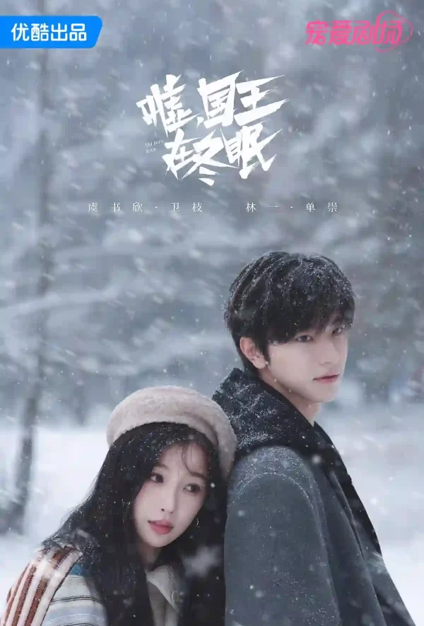 Ski into Love